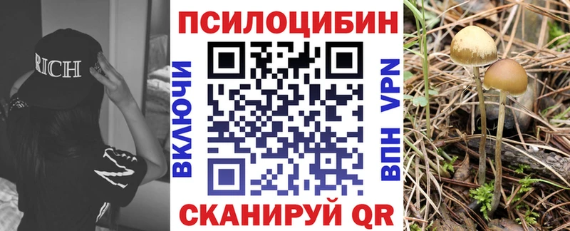 Псилоцибиновые грибы мухоморы  Козьмодемьянск 